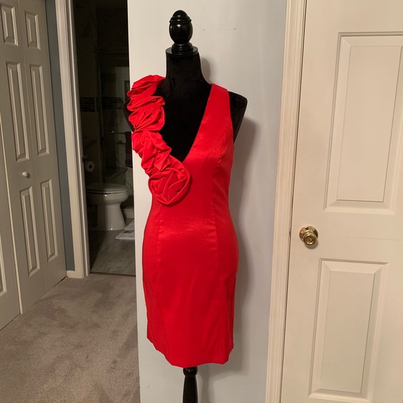 Cache Dress - Picture 3 of 4